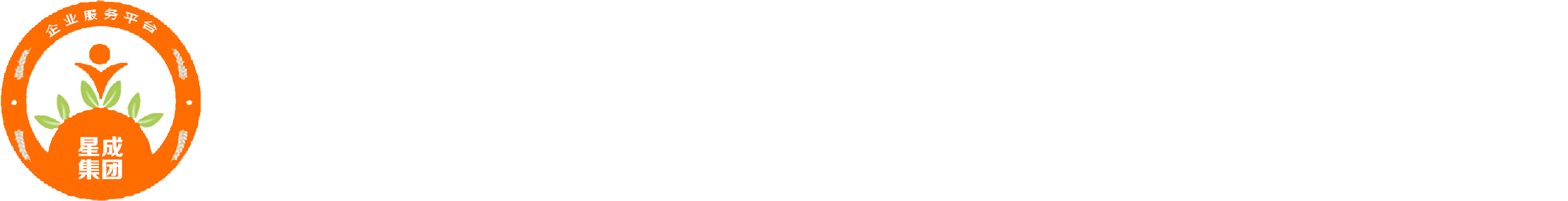 公司注册_代理记帐_建筑资质_审计评估_成都市星成社会服务有限公司