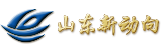 山东新动向文化发展有限公司