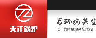 凤城热风锅炉|凤城燃汽锅炉|凤城型煤环保锅炉-凤城天正锅炉