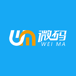 网站建设_小程序开发_定制开发_丸子建站