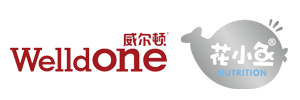 婴幼儿面条|婴幼儿饼干|花小鱼系列,鹤山市嘉士威食品有限公司