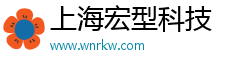 上海宏型科技有限公司