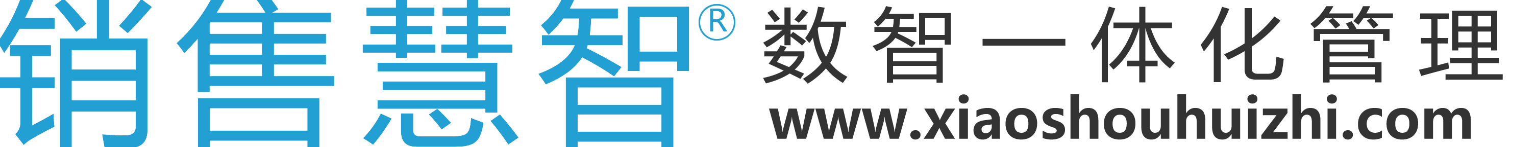 销售慧智官方网站 - 销售慧智 www.xiaoshouhuizhi.com - 数智一体化管理 先行者