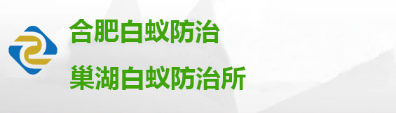 合肥市白蚁防治中心_合肥巢湖白蚁防治研究所-庐阳白蚁防治站