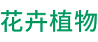 三石的生活圈 您身边的养花卉植物专家_养花卉号