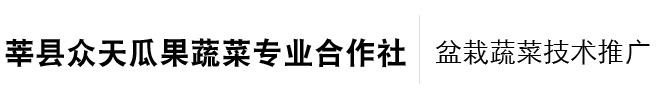 盆栽蔬菜,盆栽有机蔬菜,瓜果蔬菜供应,莘县瓜果蔬菜,莘县甜瓜,莘县众天瓜果蔬菜专业合作社-众天盆栽活性有机蔬菜